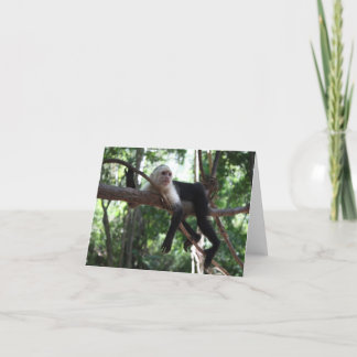 Tarjeta Apenas colgando alrededor de Notecard