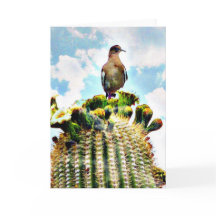 Apenas sitting en un saguaro