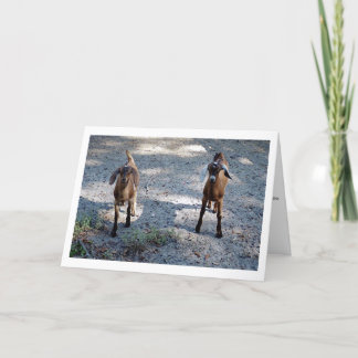 Tarjeta ¡Apenas usted y yo niño!