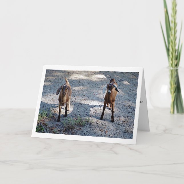 Tarjeta ¡Apenas usted y yo niño! (Anverso)