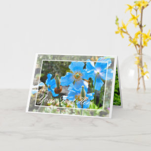 Tarjeta Apertura azul himalaya [Tarjeta de saludo] カ ド