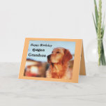 Tarjeta Apertura de oro del cumpleaños de Golden Grandson<br><div class="desc">Celebra el cumpleaños de tu nieto con una encantadora carta para deleitar a los dueños de los recuperadores dorados. La carta presenta una hermosa dorada en una clásica pose campeona. Diseñada con alegres colores dorados y negros, la tarjeta será un gran regalo de cumpleaños para un fanático de recuperación dorado....</div>