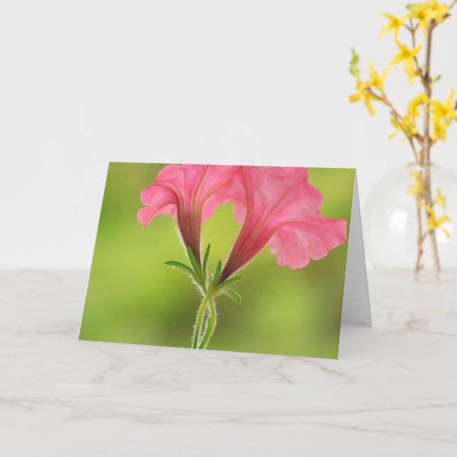 Tarjeta Apoyo al cáncer de mama Petunia rosa (flor amarilla)