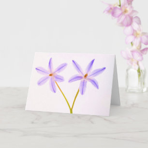 Tarjeta Apoyo floral para cáncer/enfermedad grave