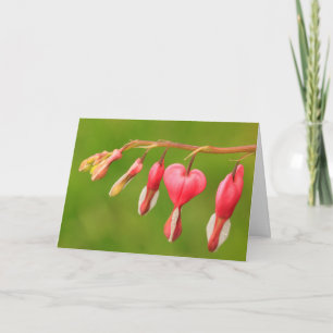 Tarjeta Apoyo para el cáncer de corazón sangrado/enfermeda