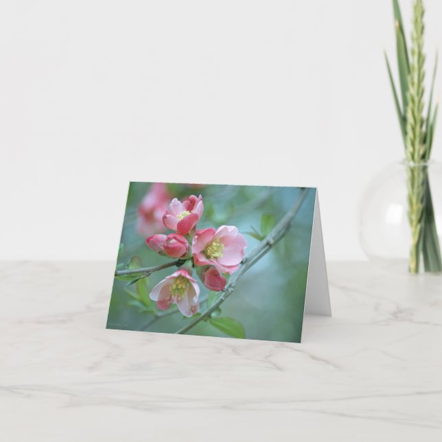 Tarjeta Apple Blossom #P0356 (Anverso)