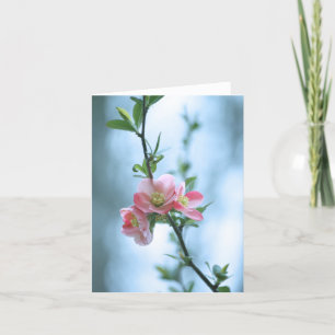 Tarjeta Apple Blossom #P0365