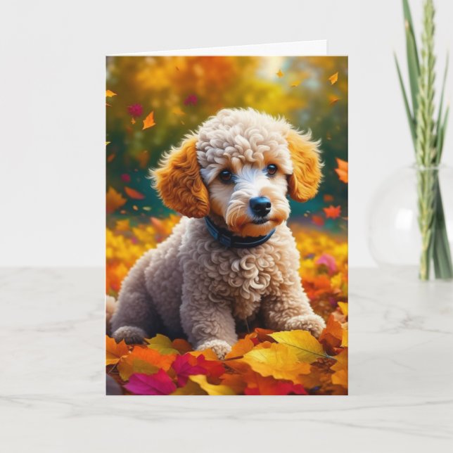 Tarjeta Apricot Poodle Puppy en otoño deja en blanco (Anverso)