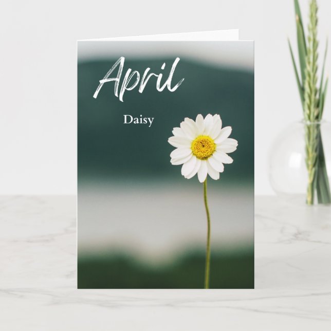 Tarjeta April White Daisy Birth Month Flower Birthday (Anverso)