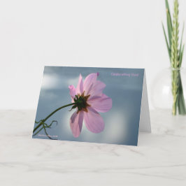 Tarjeta ¡Aprovecha el momento!