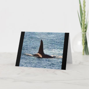 Tarjeta Aquarius Orca Ballena Asesina de la Costa Oeste Pe