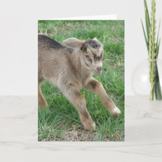 Tarjeta Aquí viene el trueno (Anverso)