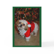 ¡Aquí Viene Santa Paws!