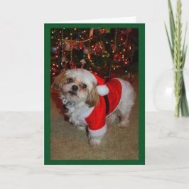 Tarjeta ¡Aquí Viene Santa Paws!