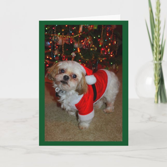 Tarjeta ¡Aquí Viene Santa Paws! (Anverso)