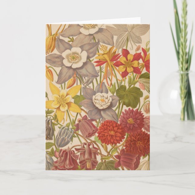 Tarjeta Aquilegia | George Nicholson (Anverso)