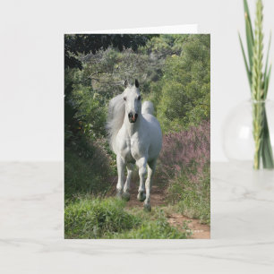 Tarjeta Árabe Gris Corriendo En Camino Con Flores