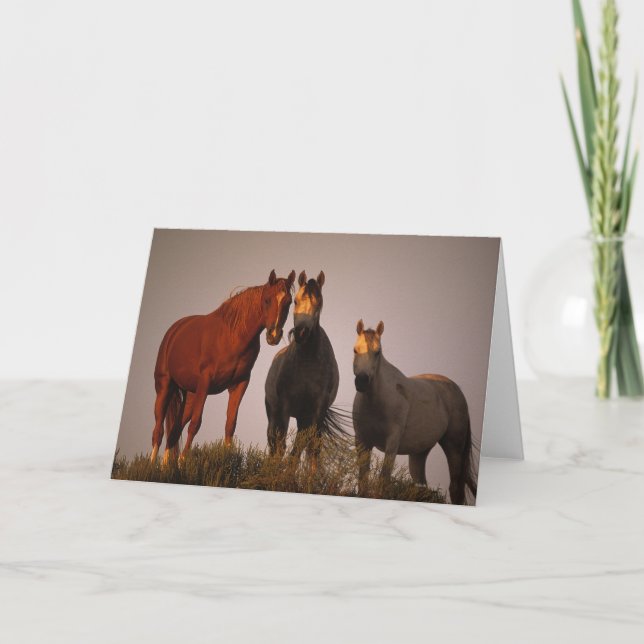 Tarjeta Árabes en la puesta del sol (Anverso)