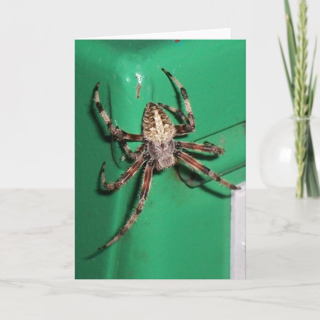 Tarjeta Araña 7704 - Vertical (Anverso)