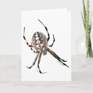 Tarjeta Araña del orbe