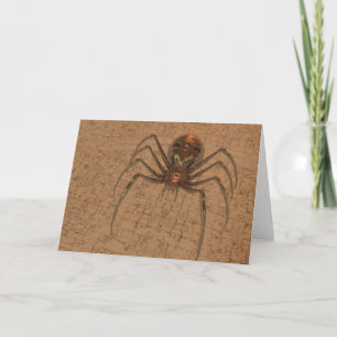 Tarjeta Araña dorada