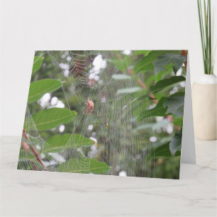 Tarjeta Araña en espera