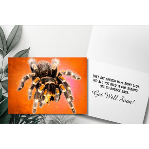 Tarjeta Araña Tarántula Recupérate