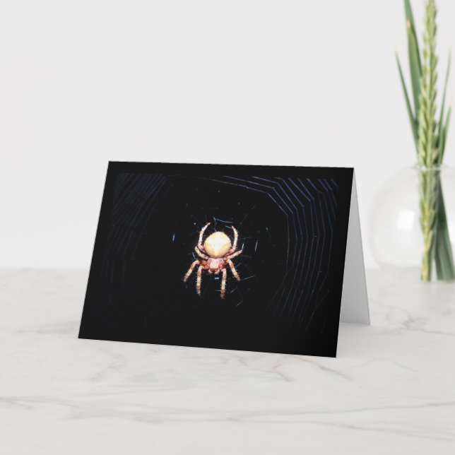 Tarjeta Araña tejedora de ruedas naranja (Anverso)
