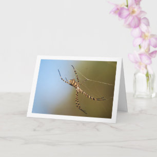 Tarjeta Araña tejedora orbicular bandeada