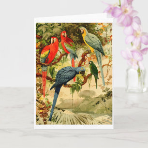 Tarjeta Aráras, Emil August Göldi (1900-1906)