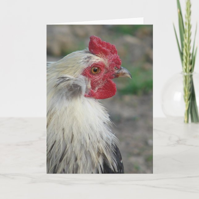 Tarjeta Araucana Rooster (Anverso)