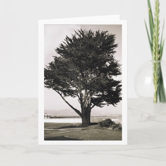 Tarjeta Árbol (Anverso)