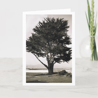 Tarjeta Árbol