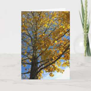 Tarjeta Árbol amarillo otoñal