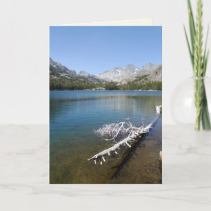 Tarjeta Árbol blanco a la sombra del lago, en blanco al in