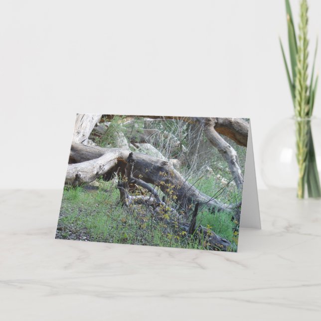 Tarjeta Árbol caido (Anverso)
