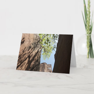 Tarjeta Árbol creciendo entre rocas en el Parque Nacional
