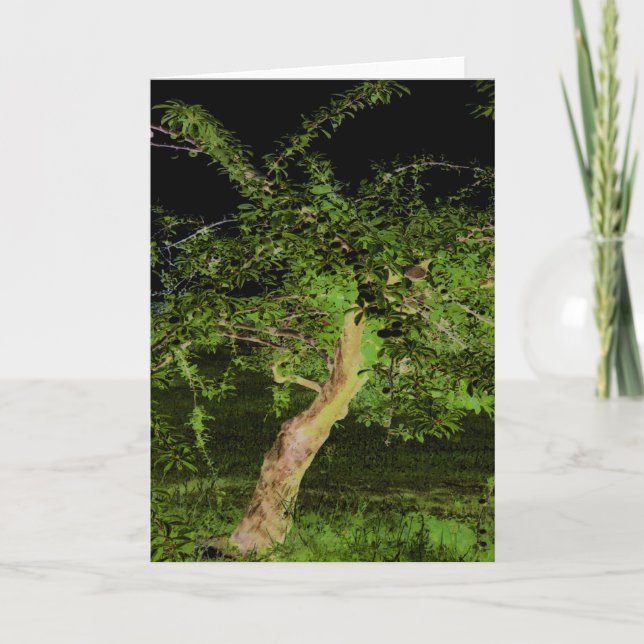 Tarjeta Árbol de Apple: árbol torcido editado digitalmente (Anverso)