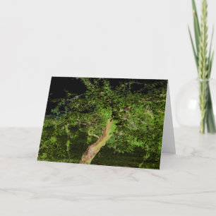 Tarjeta Árbol de Apple: árbol torcido editado digitalmente