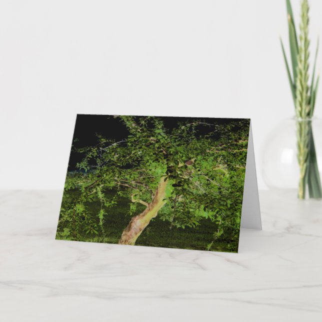 Tarjeta Árbol de Apple: árbol torcido editado digitalmente (Anverso)