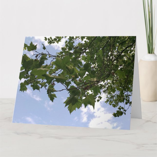 Tarjeta Árbol de arce (Anverso)