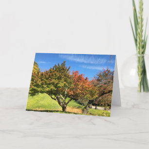 Tarjeta Árbol de arce de colores en otoño