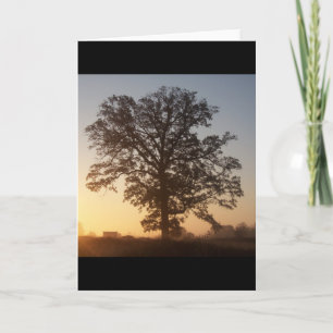 Tarjeta Árbol de Autmn en el amanecer