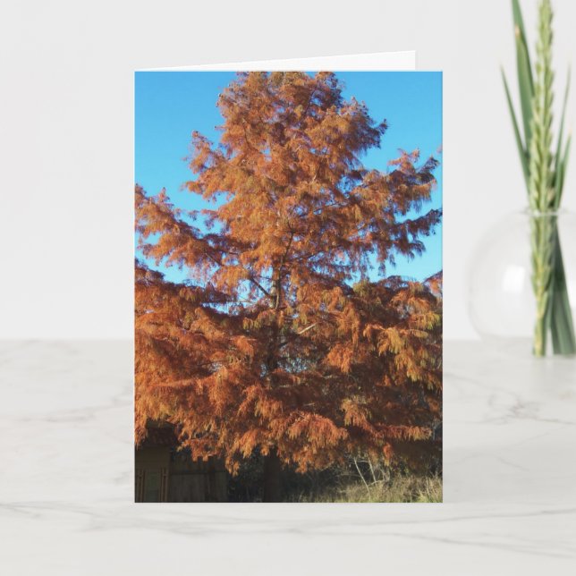 Tarjeta Árbol de Brian, AutumnPoem (Anverso)