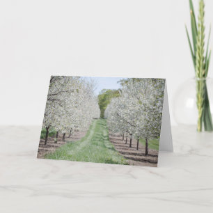 Tarjeta Árbol de cerezas del condado de Door Notecard