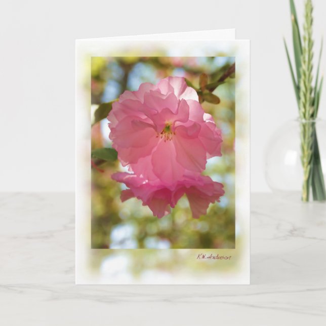 Tarjeta Árbol de cerezos (Kwanzan) (Anverso)