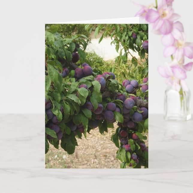 Tarjeta Árbol de ciruelas púrpuras (Orquídea)