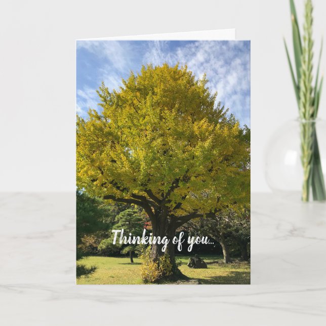 Tarjeta Árbol de Ginkgo del Amarillo Dorado (Anverso)