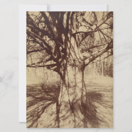 Tarjeta Árbol de haya (por Eugène Atget)