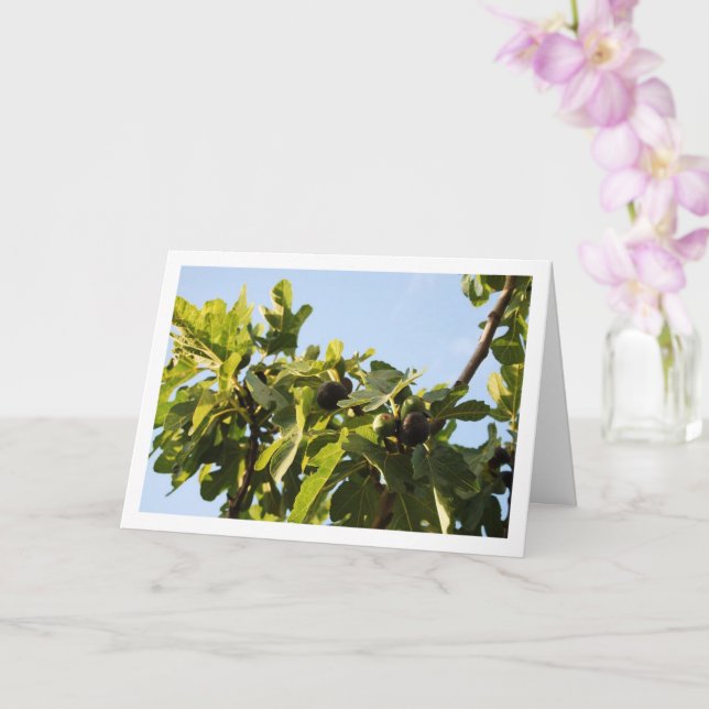 Tarjeta Árbol de hilo, retrato del cielo azul (Orquídea)